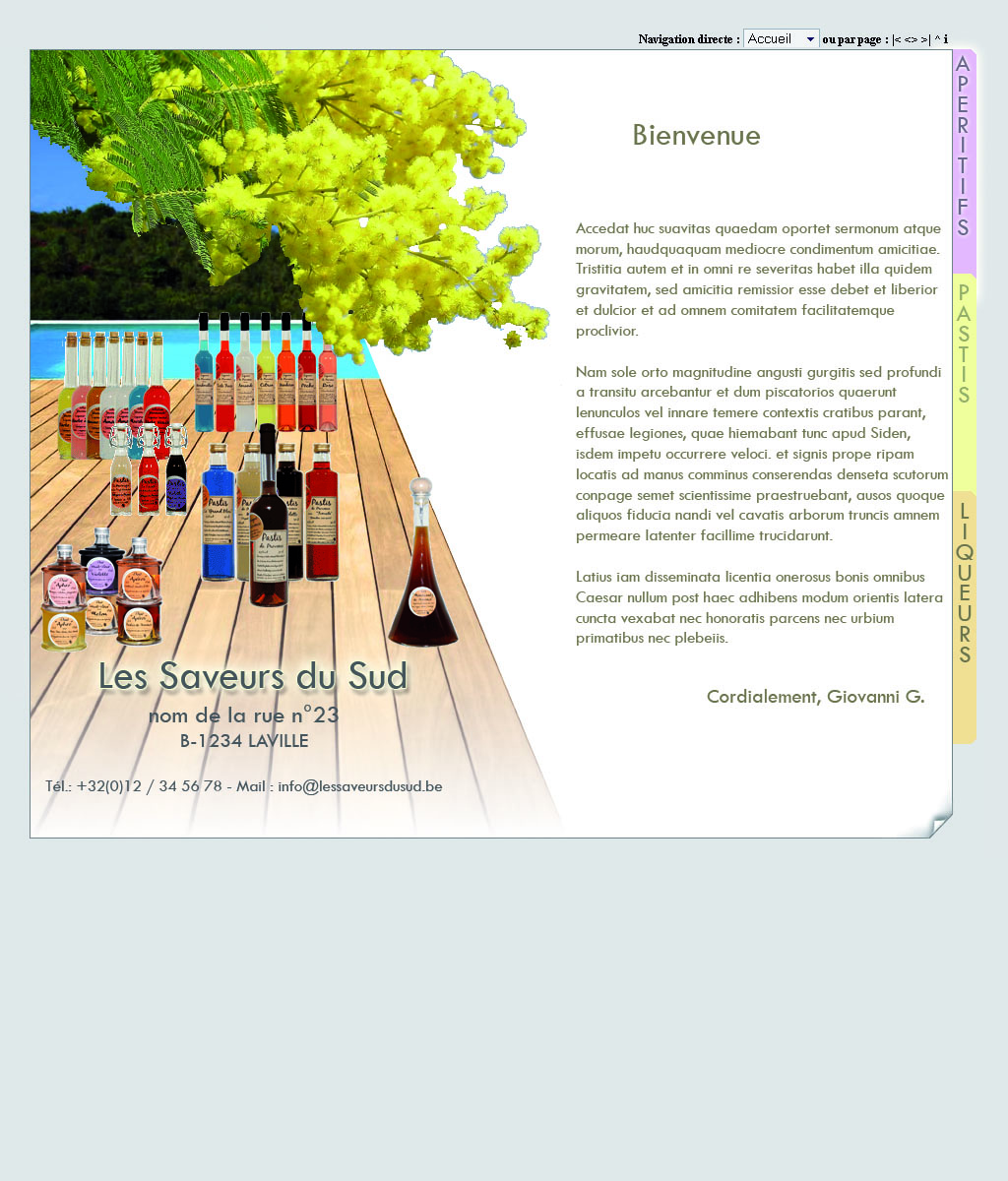 Exemple de site