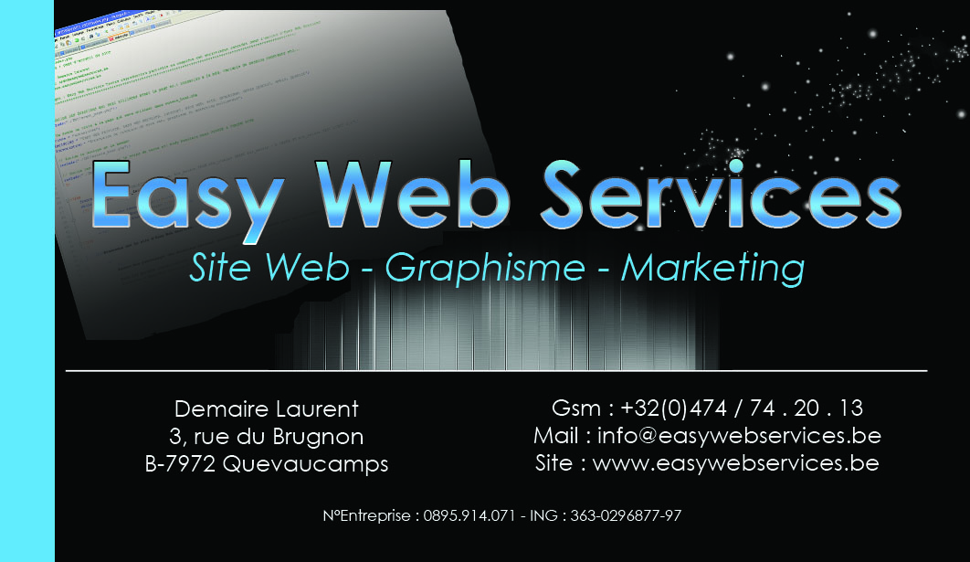 Portfolio Visuel Exemple de Visuel