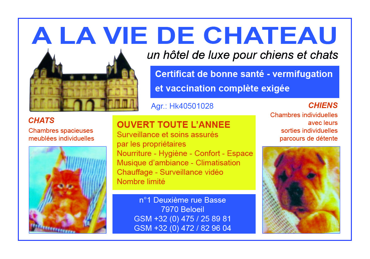Exemple de Visuel