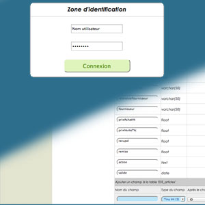 solution application internet Application pour gérer vos activitées