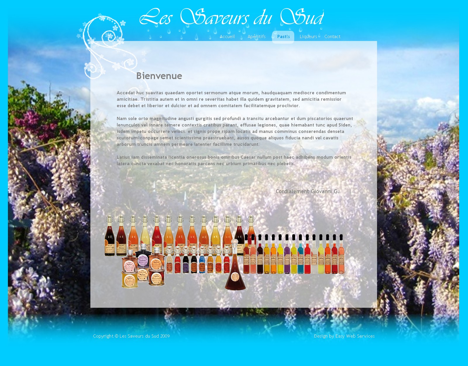 Exemple de site